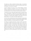 Condiciones de trabajo en un laboratorio de microalgas