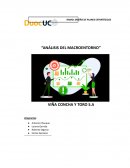 Análisis del macroentorno Viña Concha y Toro S.A