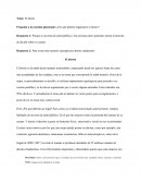 Pregunta a la cuestión planteada: ¿Por qué debería legalizarse el aborto?
