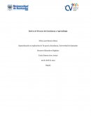 RED EN EL PROCESO DE ENSEÑANZA - APRENDIZAJE