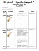 PLAN DE CONTINGENCIA Área de Cultura Física