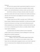 Contrato de software