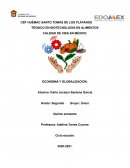 ECONOMIA Y GLOBALIZACIÓN.
