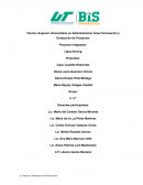 PROYECTO INTEGRADOR LAPIZ AMONG