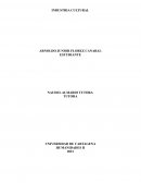 LA INDUSTRIA CULTURAL