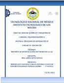 Reporte de investigación software en la I.Q.
