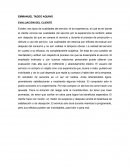 Resumen Mercadotecnia de Servicios