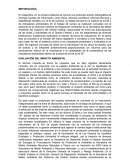 EVALUACIÓN DEL IMPACTO AMBIENTAL