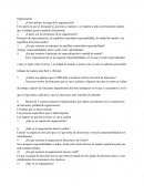 ORGANIZACION. ¿Cuáles son los principios de la organización?