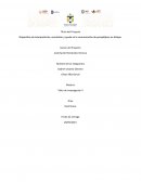 Dispositivo de interpretación, emulación y ayuda en la comunicación de parapléjicos en Xalapa