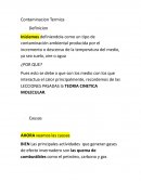Contaminacion ambiental - termica