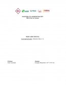 Actividad Individual: Alimentos Mary, C.A.