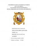 Flujo vehicular en lima-redes de optimizacion