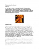 Trabajo práctico N°1. “El fuego”