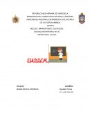 Actividades lúdicas. Estrategias dinamicas