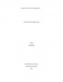 Ensayo de “en defensa de la globalización”