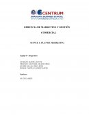 GERENCIA DE MARKETING Y GESTIÓN COMERCIAL