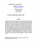 INFORME PARTE 1: POLIMORFISMO