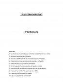 TP SISTEMA NERVIOSO