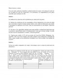 Maestría en Finanzas Matriz de pros y contras