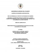 Determinación de la concentración de mercurio en el atún consumido en el Ecuador