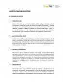 Cadena de valor concha y toro