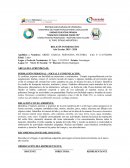 FORMACIÓN PERSONAL – SOCIAL Y COMUNICACIÓN