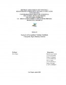 Teorías de la Personalidad: Vitalidad, Viabilidad, Concepción, Figura Humana, Ecléctica