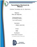 ESTRUCTURA MODELO DEL PLAN DE NEGOCIOS