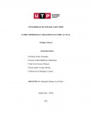 PROBLEMAS Y DESAFIOS EN EL PERU ACTUAL