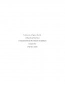 FUNDAMENTOS DE PREVENCIÓN DE RIESGOS