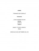 ENSAYO: “TECNICA JURIDICA”