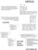 Problemas sociales. El alcoholismo