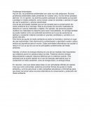 Problemas ambientales