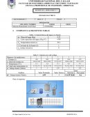 Voltaje eléctrico en simulador