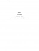 Mini resumen de los medios tecnológicos