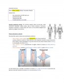 Anatomía Humana.Generalidades
