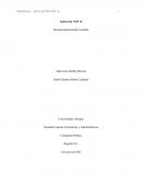 Sistema internacional contable