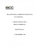 RELACIONANDO LA NORMATIVA VIGENTE CON UN CASO DE EIA