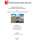 INFORME TÉCNICO DEL HOSPITAL DE EMRGENCIAS PEDIATRICAS