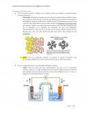 Cuestionario ácidos y bases - Repaso