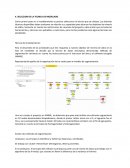 SELECCION DE LA TECNICA DE MODELADO