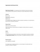 Segmentación del Mercado Total