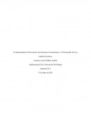 El Administrador En Prevención, Sus Funciones E Instrumentos, Y El Desarrollo De Una Cultura Preventiva