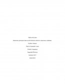 Relacionar principios básicos del fenómeno eléctrico situaciones cotidianas