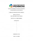 MR. GREEN TEA (ICE CREAM)