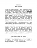 CURSO DE LOCUCION BASICO