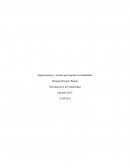 Introduccion a la contabilidad semana 2 iacc