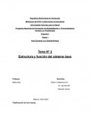 Clafisicacion de los huesos