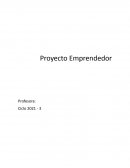 Entregable 2 modelo de gestion de negocios AbueHappy